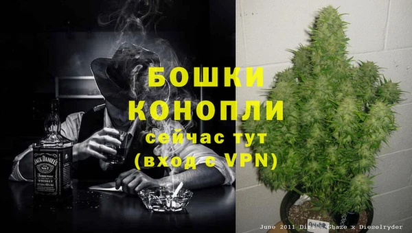 a pvp Аркадак