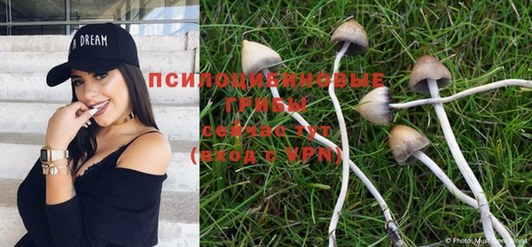 дмт Армянск